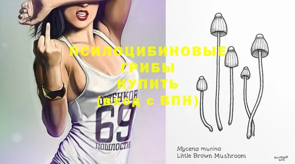 спиды Заводоуковск