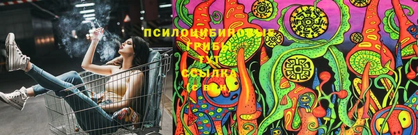 мдпв Заволжье