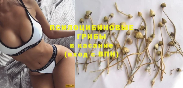 мдпв Заволжье