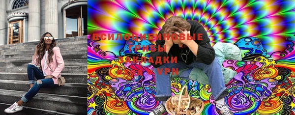 спиды Заводоуковск